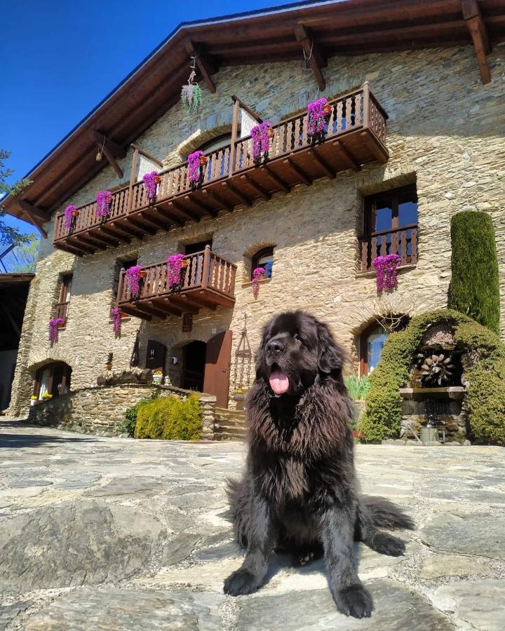 Mas D'En Roqueta Hotel Aravell Exterior foto